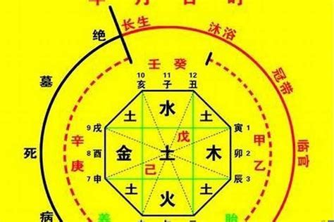 時辰八字計算|生辰八字算命、五行喜用神查詢（免費測算）